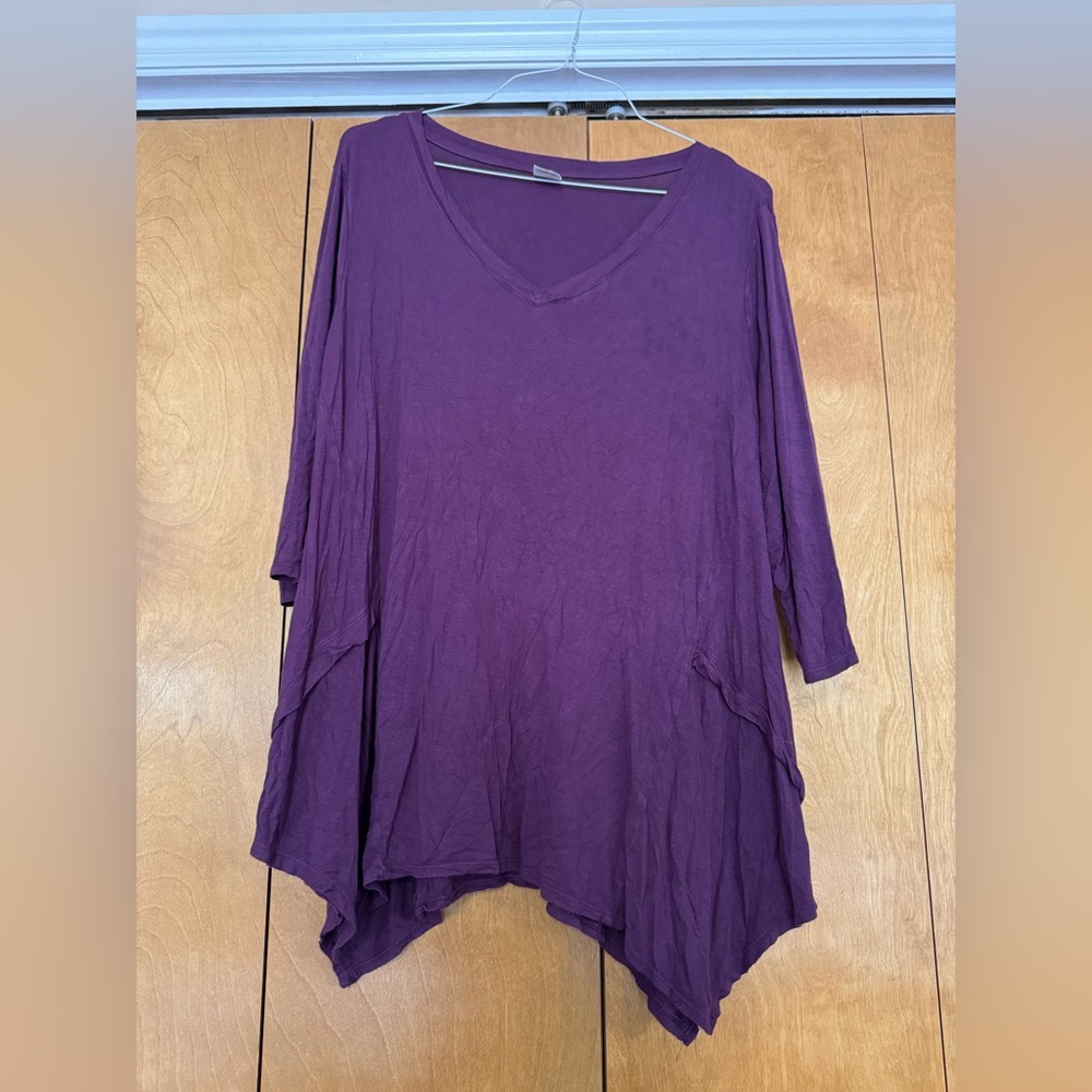 CLEARANCE Terra & Sky Plum Asymmetrical Tunic